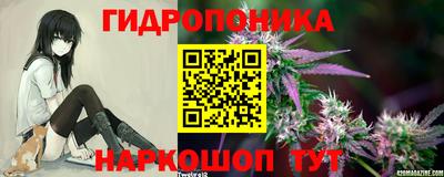 крисы Северобайкальск